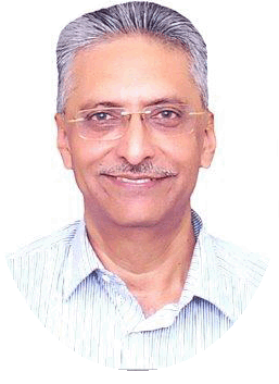 Mr. V.K. Puniani